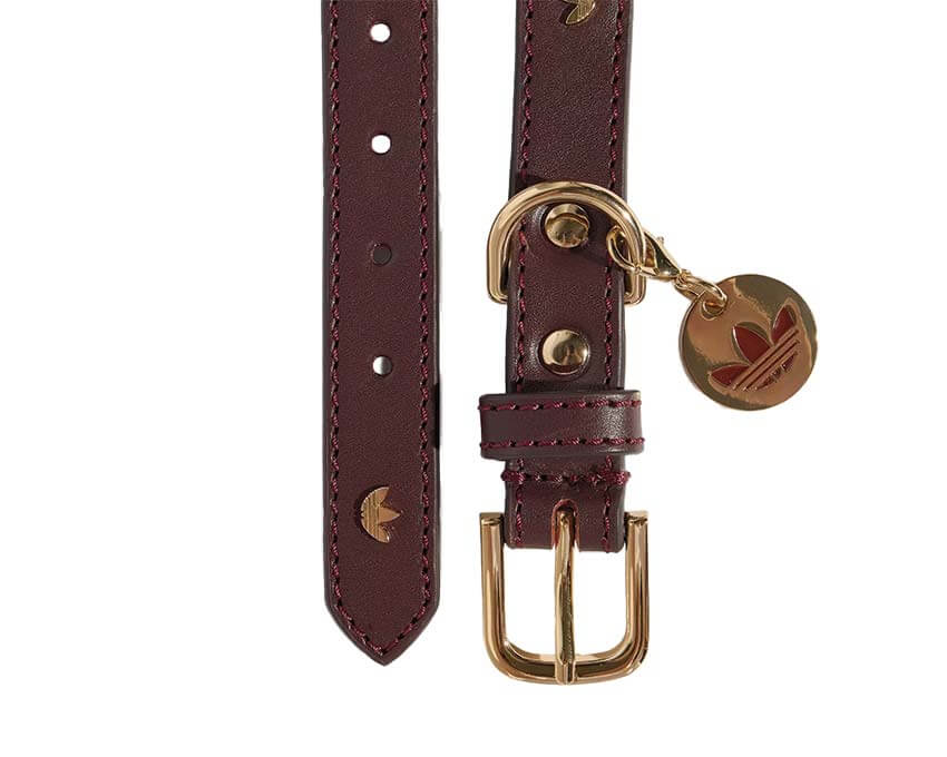 Adidas Pet Collar KY8799