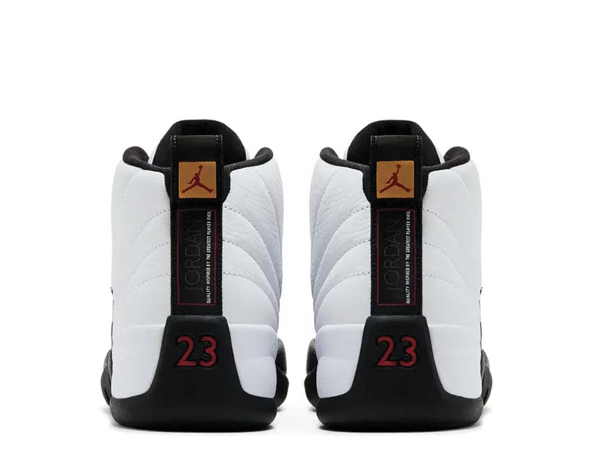 Air Jordan 12 Retro CT8013-117
