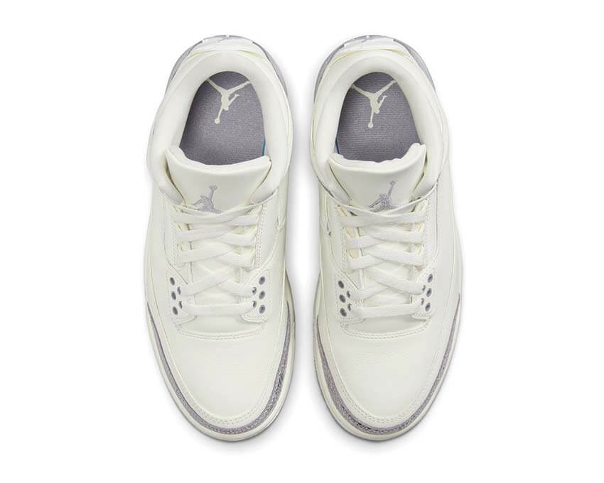Air Jordan 3 Retro CK9246-100