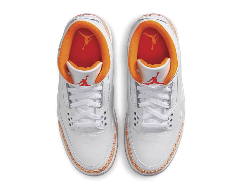 Air Jordan 3 Retro CK9246-101