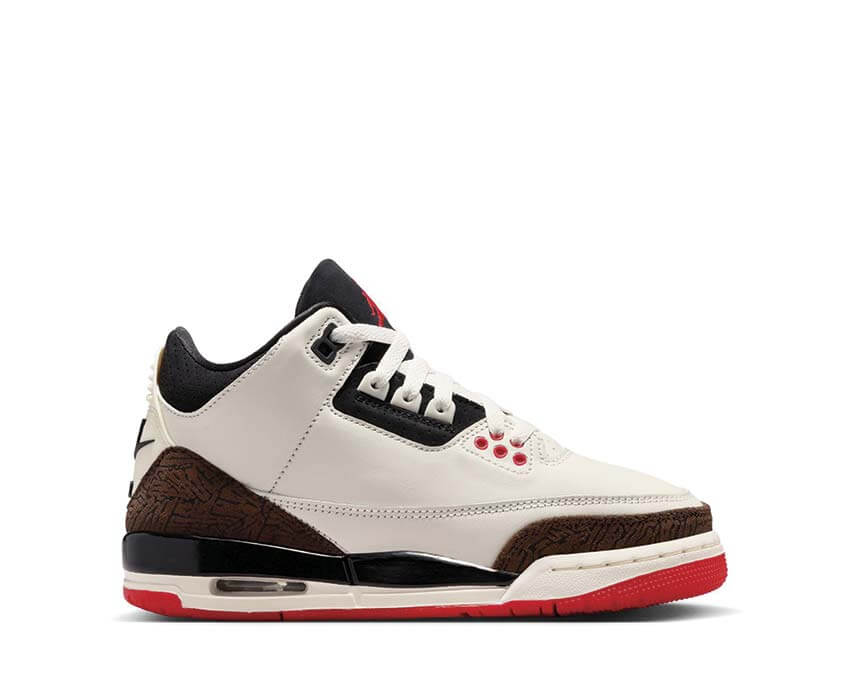 Air Jordan 3 Retro GS 
