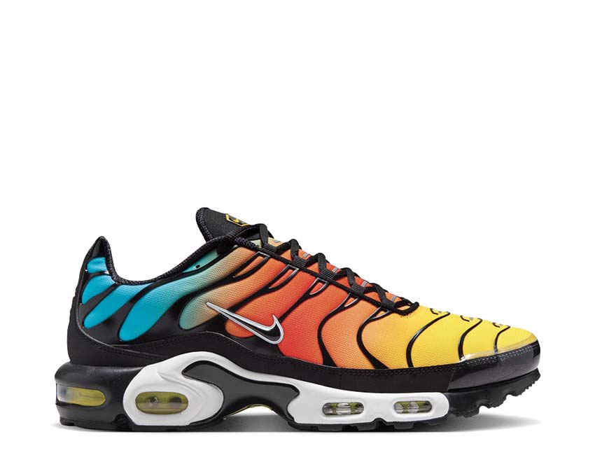 Buy Nike Air Max Plus HV2526-001 NOIRFONCE