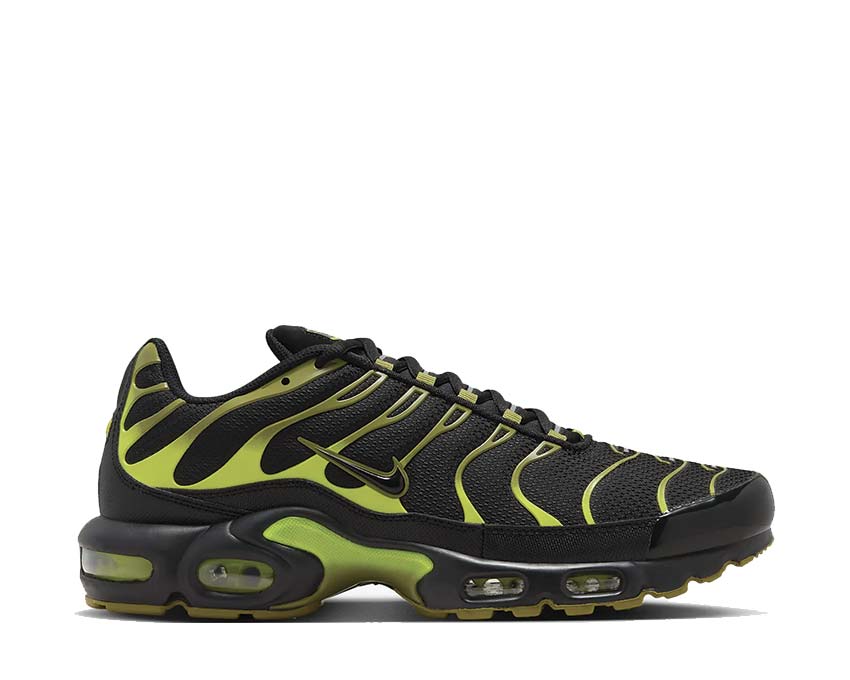 Buy Nike Air Max Plus Pacific Moss DM0032 010 NOIRFONCE