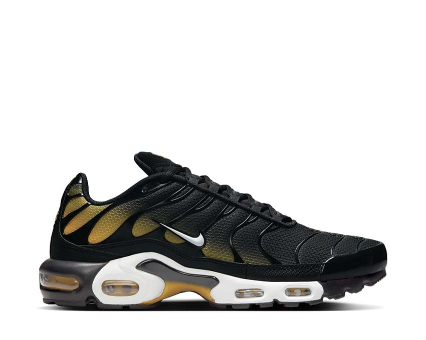 Buy Nike Air Max Plus