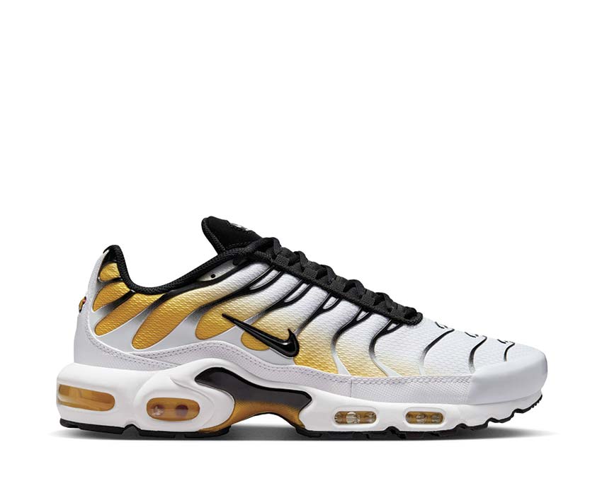Buy Nike Air Max Plus 