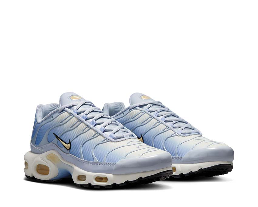 Nike Air Max Plus Ghost / Pale Vanilla - Aluminum - Black DZ3670-004