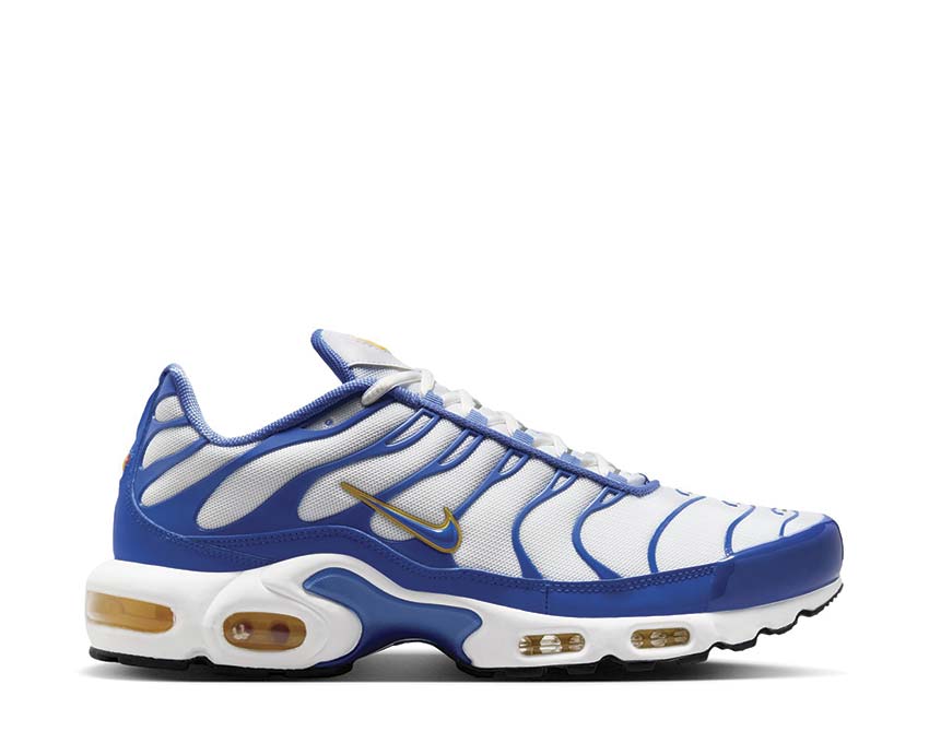 Buy Nike Air Max Plus