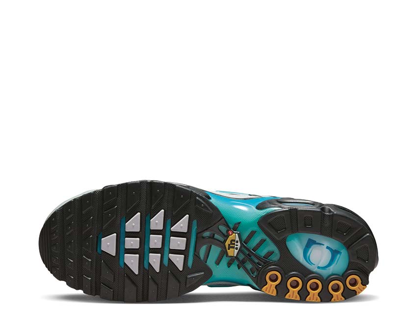 Nike Air Max Plus One Black Down "Reverse" Matte Silver / Aurora Green - Photon Dust FZ3308-001