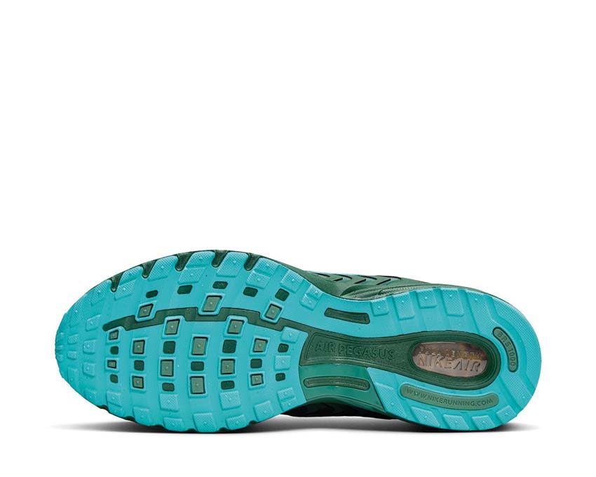 Nike Air Pegasus 2005 Fir / Fir - Bicoastal - Dusty Cactus FZ7354-300