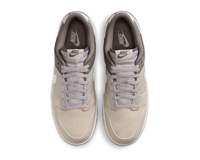 Nike Dunk Low Retro HF5441-009