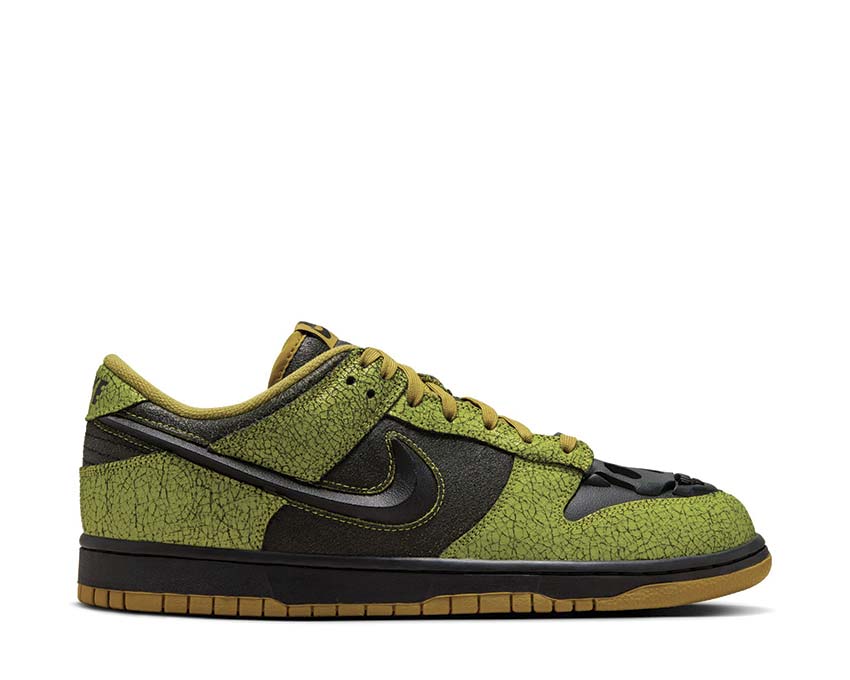Nike Dunk Low Retro QS 