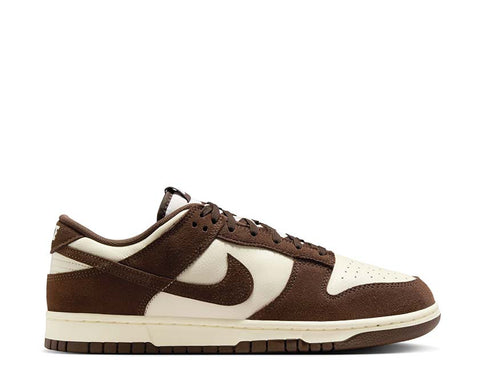 Nike Dunk Low Retro SE FQ8249-104
