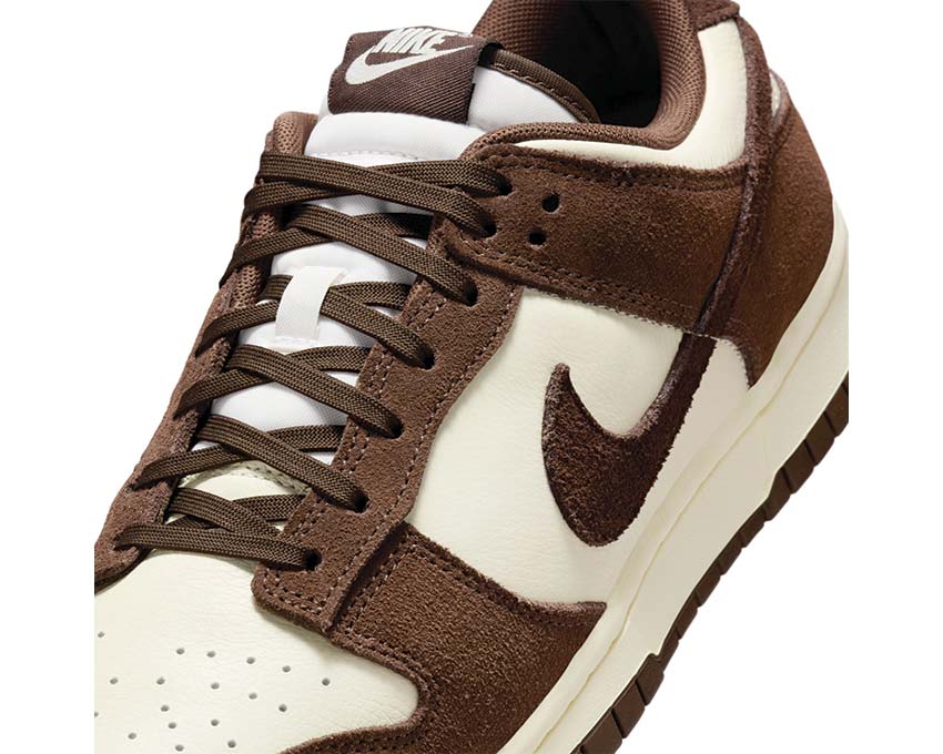 Nike Dunk Low Retro SE FQ8249-104