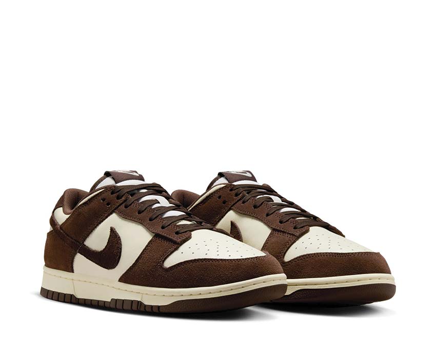 Nike Dunk Low Retro SE FQ8249-104