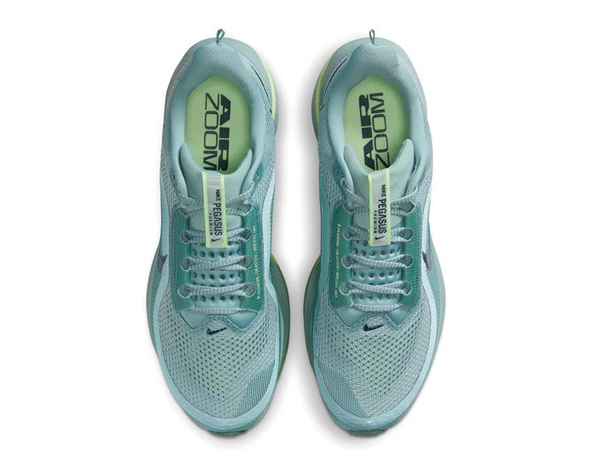 Nike Pegasus Premium HQ2592-009