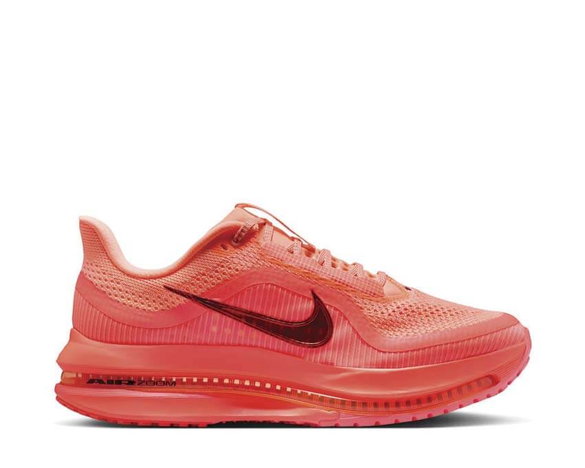 Nike Pegasus Premium W 