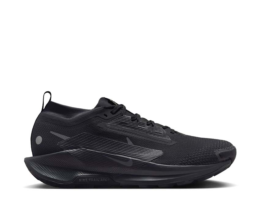 Nike Pegasus Trail 5 GTX Black / Black - Anthracite FQ0908-002