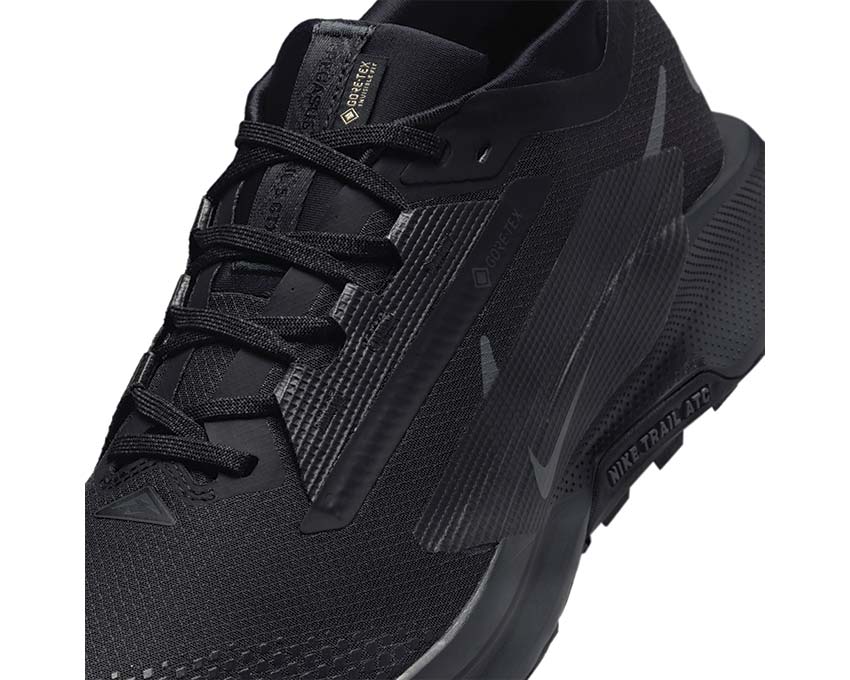 Nike Pegasus Trail 5 GTX Black / Black - Anthracite FQ0908-002