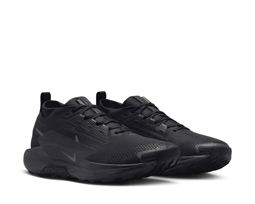Nike Pegasus Trail 5 GTX Black / Black - Anthracite FQ0908-002