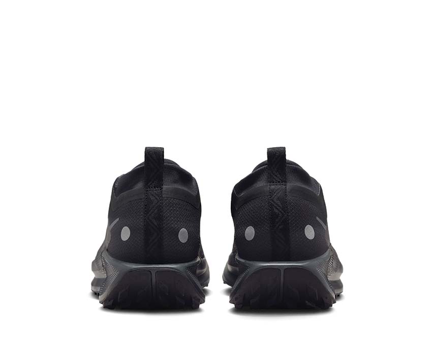 Nike Pegasus Trail 5 GTX Black / Black - Anthracite FQ0908-002