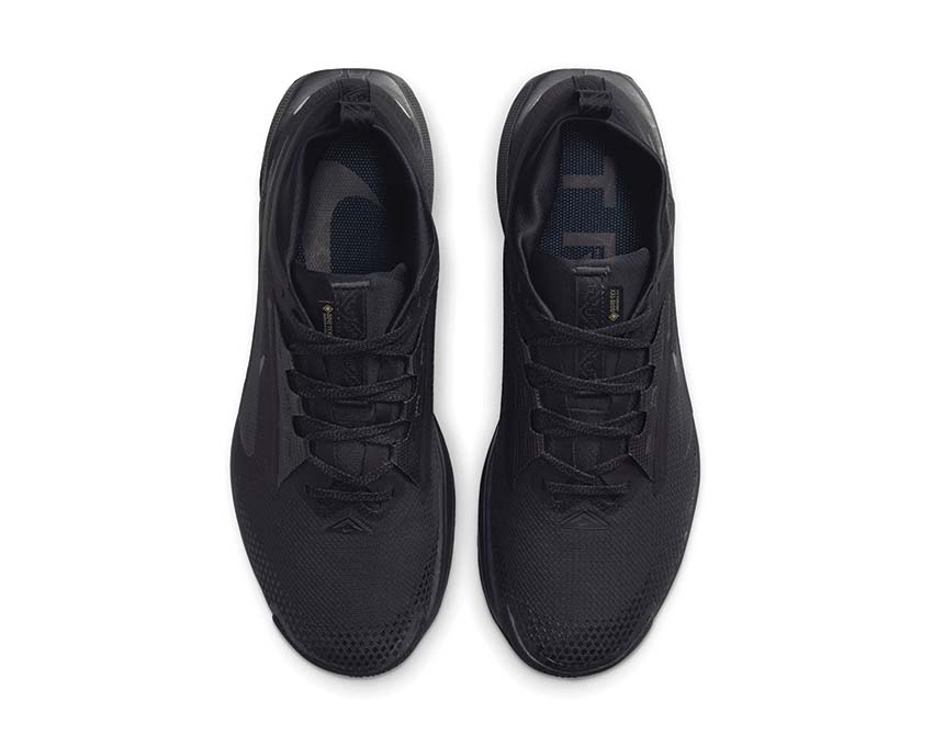 Nike Pegasus Trail 5 GTX Black / Black - Anthracite FQ0908-002