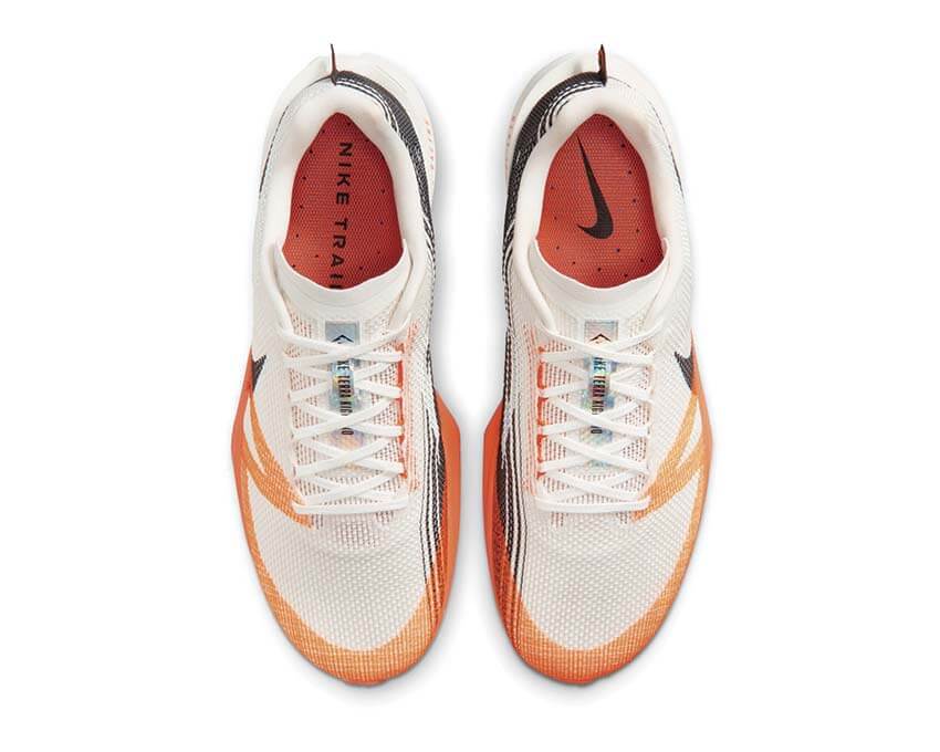 Nike Terra Kiger 10 FV3929-103