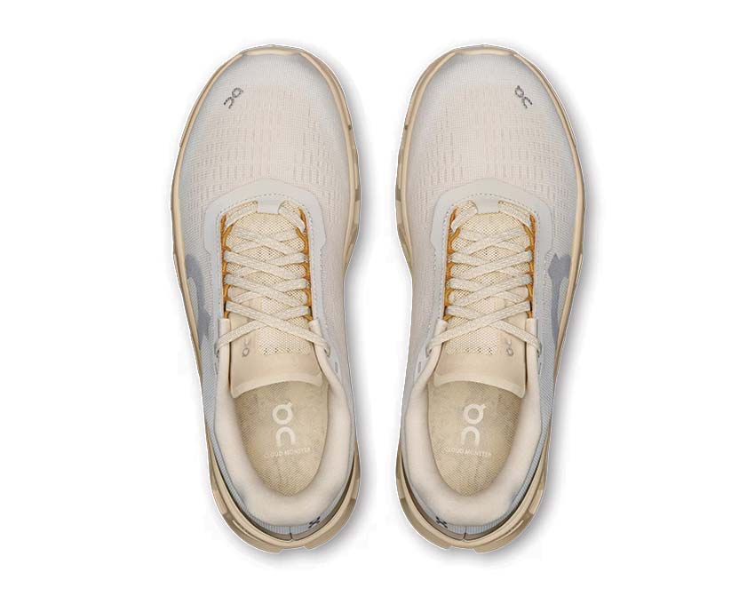 ON Cloudmonster 1 3WF30484910