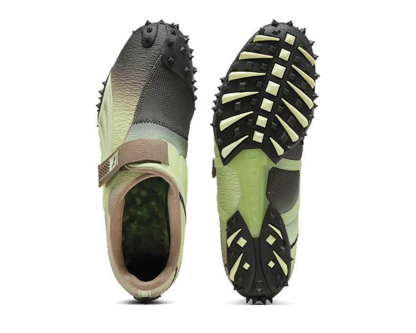 Puma Rpt-2 Biology 406228-01