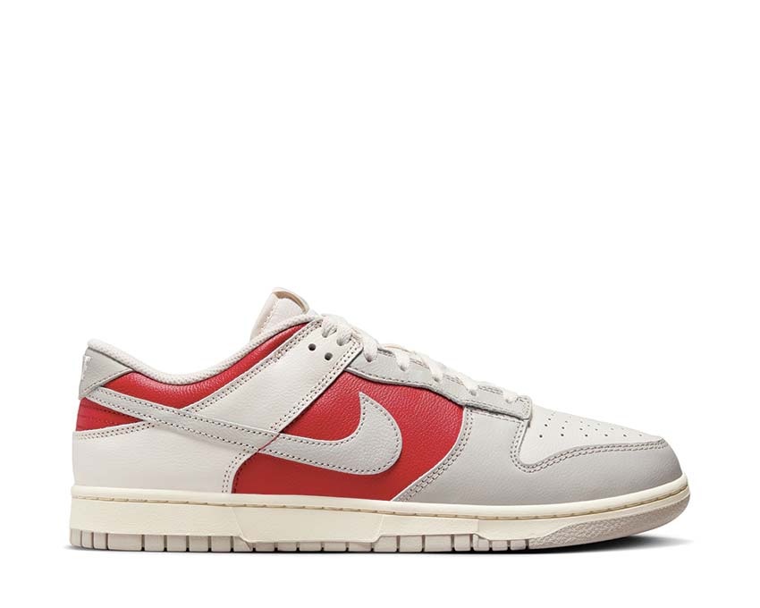 Nike Dunk Low Retro Photom / LT Iron Ore - Gym Red - Pale Ivory HJ9093-030