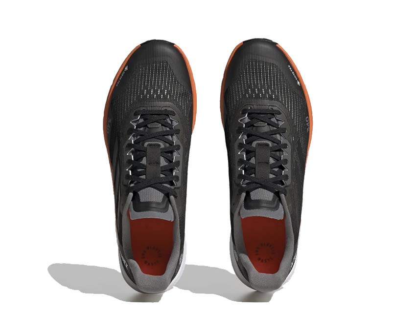 Adidas Terrex Agravic Flow 2 GTX Black HR1110