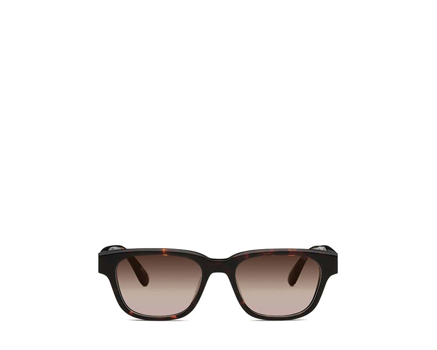 Polaroid square sunglasses in tortoise shell Dark Havana LG-AE-02