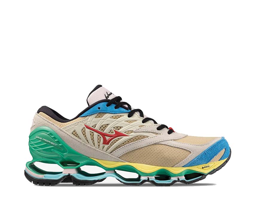 Mizuno Hiroshi Nagai Wave Prophecy LS D1GA241201