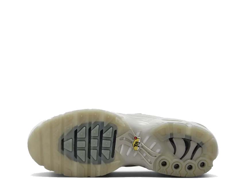 Nike Air Max Plus A Cold Wall Platinum Tint / Light Bone - Black - Stone FD7855-002