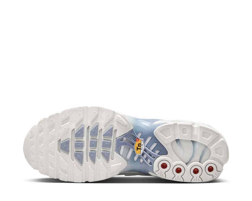 Nike Air Max Plus Summit White / Ashen Slate - LT Armory Blue DZ3671-104