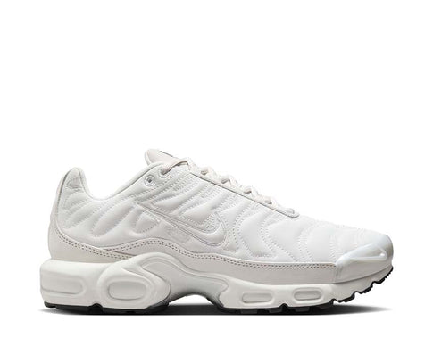 Nike Air Max Plus W Platinum Tint FZ4342-001