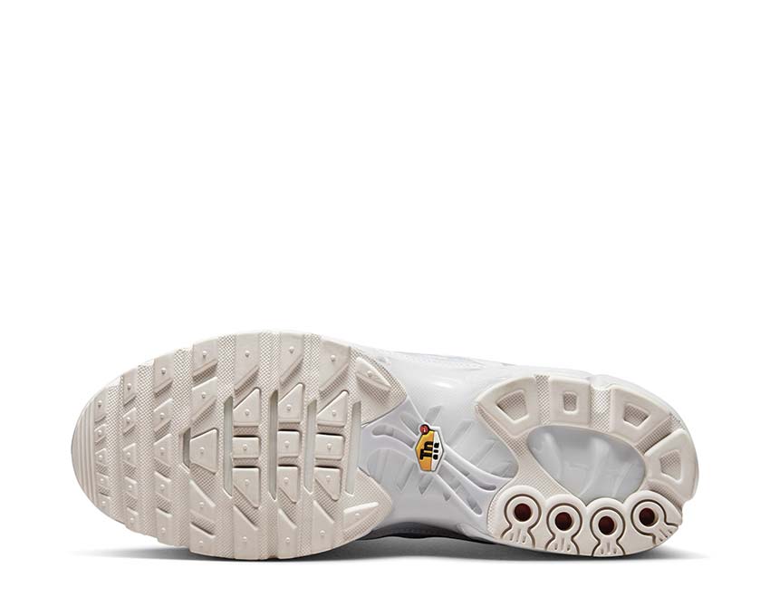 Nike Air Max Plus White / White - White AJ2029-100