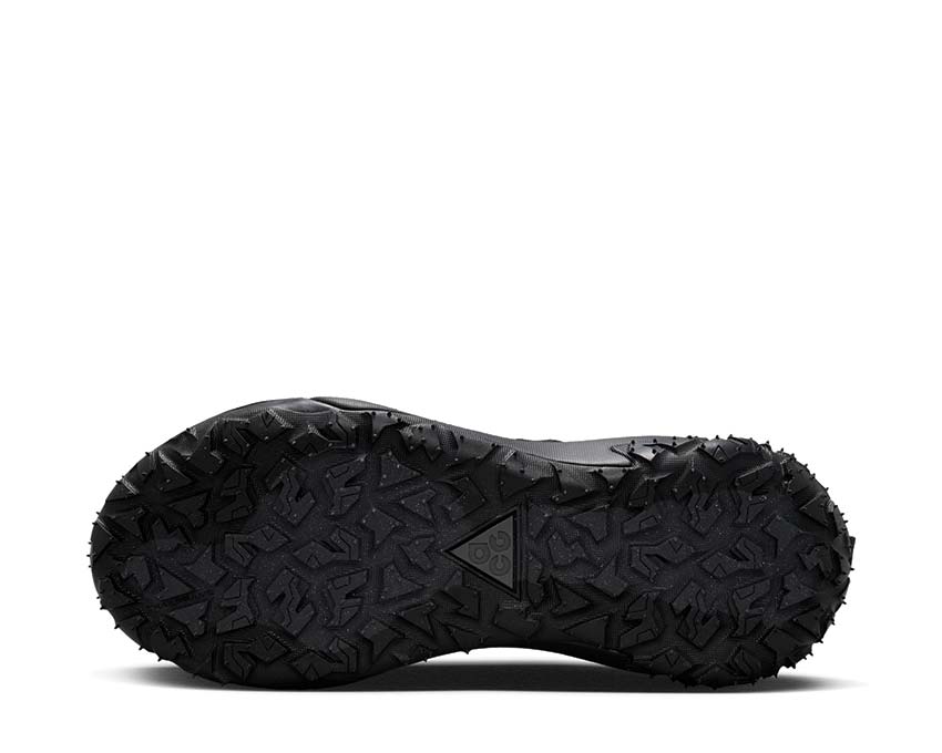Nike ACG Mountain Fly 2 Low