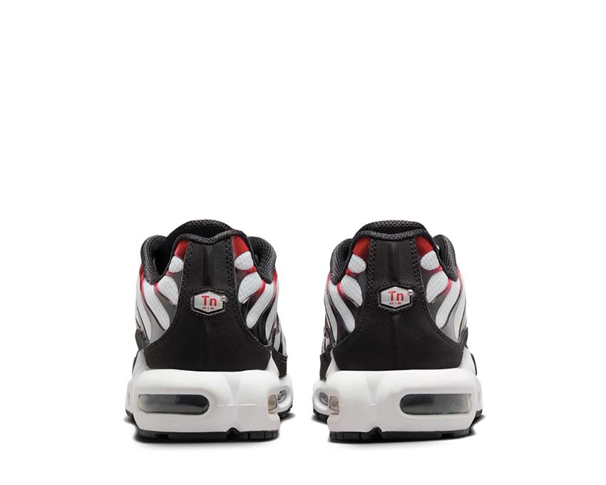 Nike Air Max Plus Pure Platinum / University Red - Black - White FN6949-002