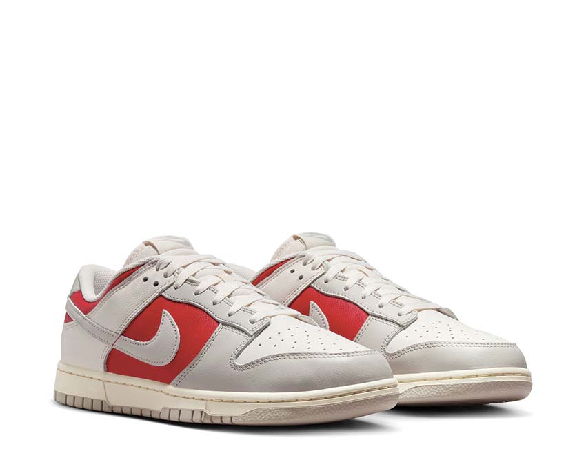 Nike Dunk Low Retro Photom / LT Iron Ore - Gym Red - Pale Ivory HJ9093-030
