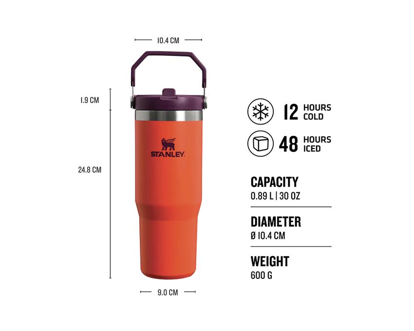 Stanley Classic Iceflow Flip Straw Tumbler 30oz