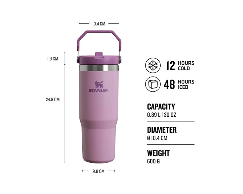 Stanley Classic Iceflow Flip Straw Tumbler 30oz
