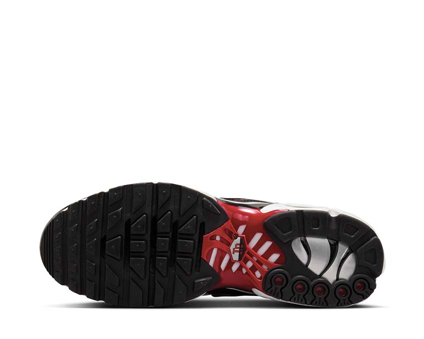 Nike Air Max Plus Pure Platinum / University Red - Black - White FN6949-002
