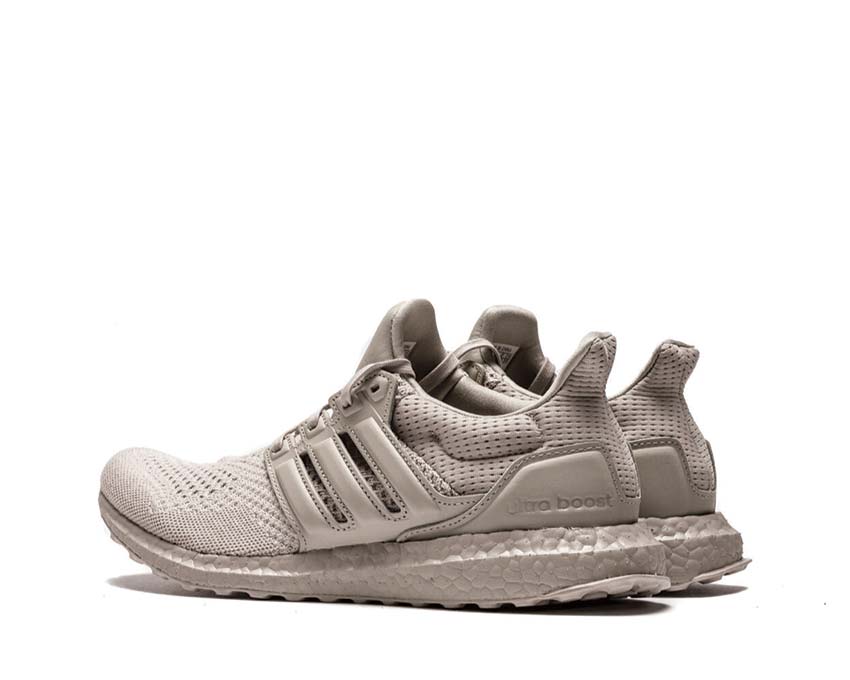 Adidas UltraBOOST 1.0 Wonder Taupe / Aluminium HQ3855
