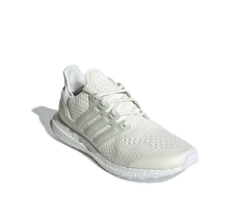 Adidas UltraBoost DNA X Parley White / Blue FZ0250