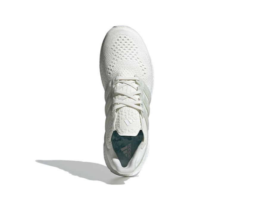 Adidas UltraBoost DNA X Parley White / Blue FZ0250
