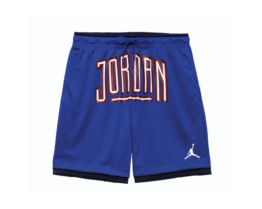 Jordan Sport DNA Shorts Game Royal / Midnight Navy DA7206-480