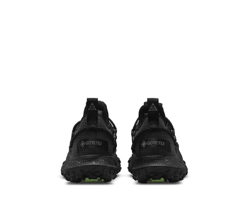 Nike ACG Mountain Fly Low GTX SE DK Smoke Grey / Iron Grey - DK Smoke Grey DD2861-002