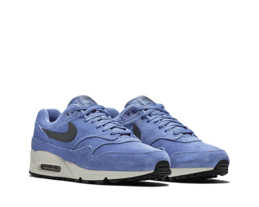 Nike Air Max 90/1 Purple Basalt Anthracite Summit White AJ7695 500