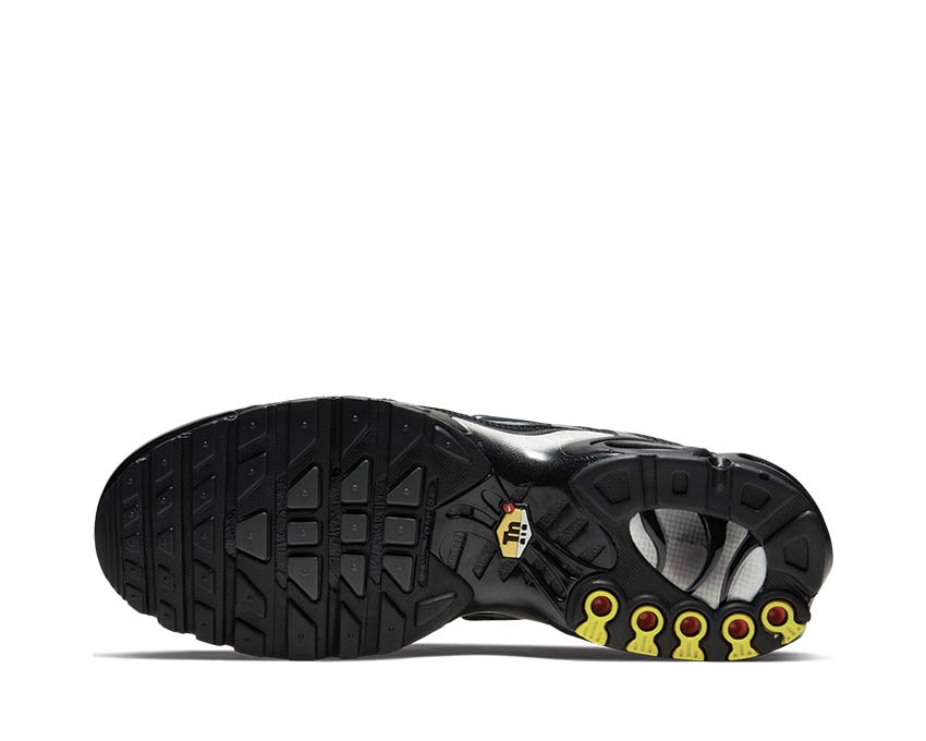 Nike Air Max Plus Black / Metallic Silver - Anthracite 852630-042