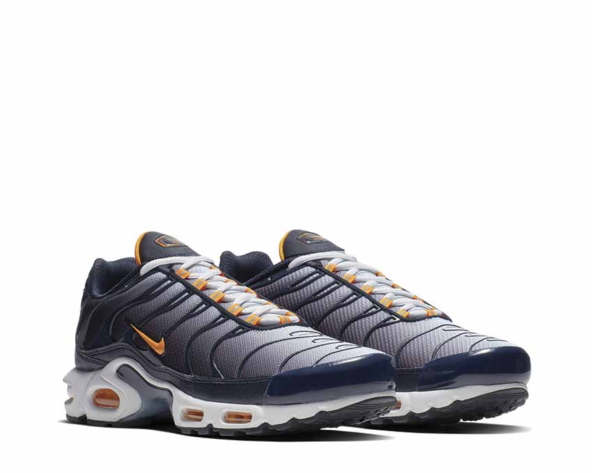 Nike Air Max Plus Dunkler Obsidian